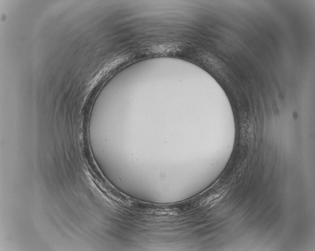 X0000053070443200508081224