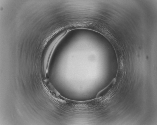 X0000053070444200508081224