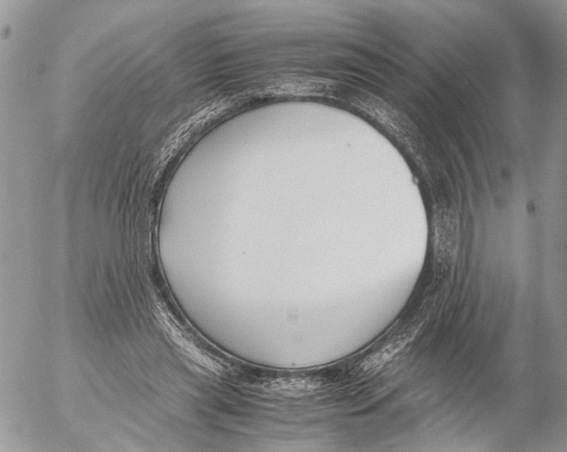 X0000053070445200508081224