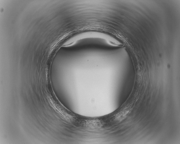 X0000053070446200508081224