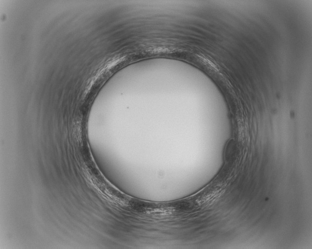 X0000053070447200508081224