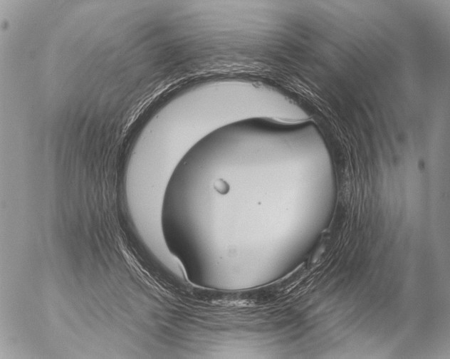 X0000053070448200508081224