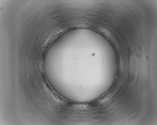 X0000053070449200508081224