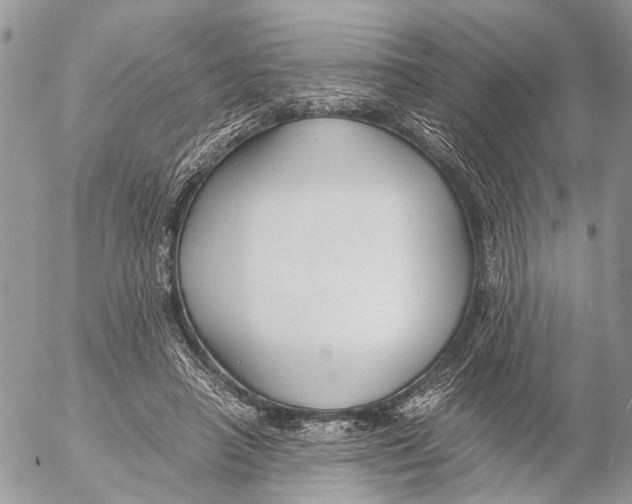 X0000053070450200508081224