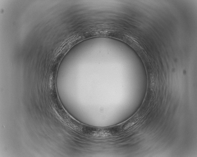 X0000053070451200508081224