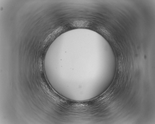 X0000053070453200508081224