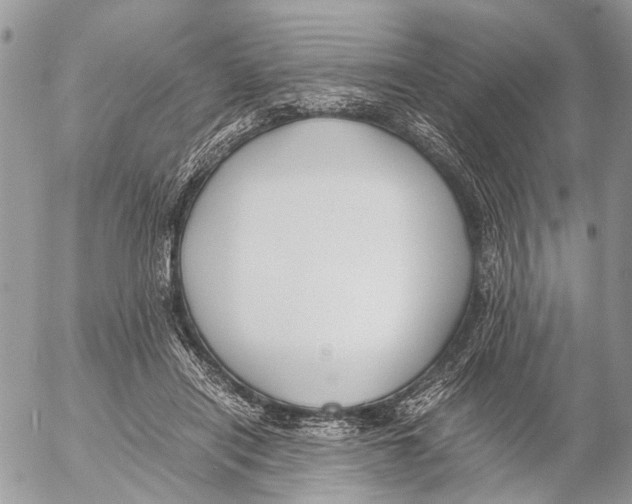 X0000053070454200508081224