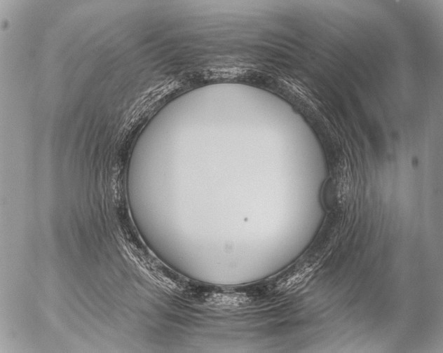 X0000053070455200508081224