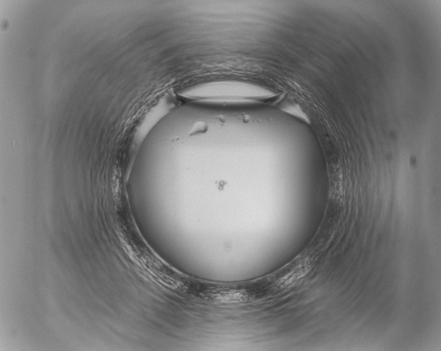 X0000053070456200508081224