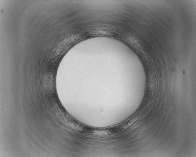 X0000053070457200508081224