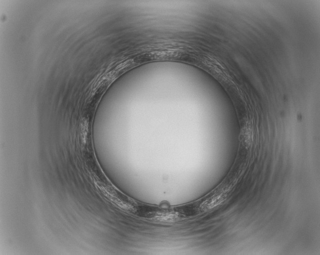 X0000053070458200508081224