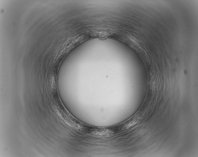 X0000053070459200508081224