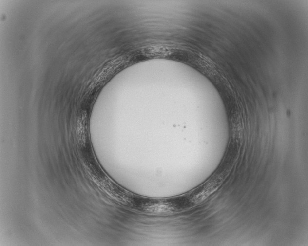 X0000053070460200508081224