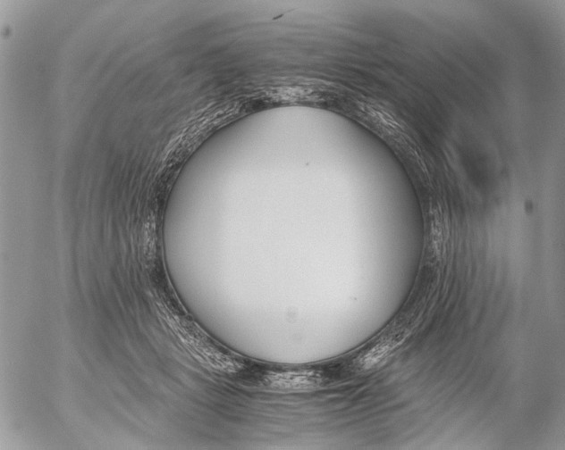 X0000053070461200508081224