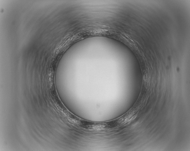 X0000053070462200508081224