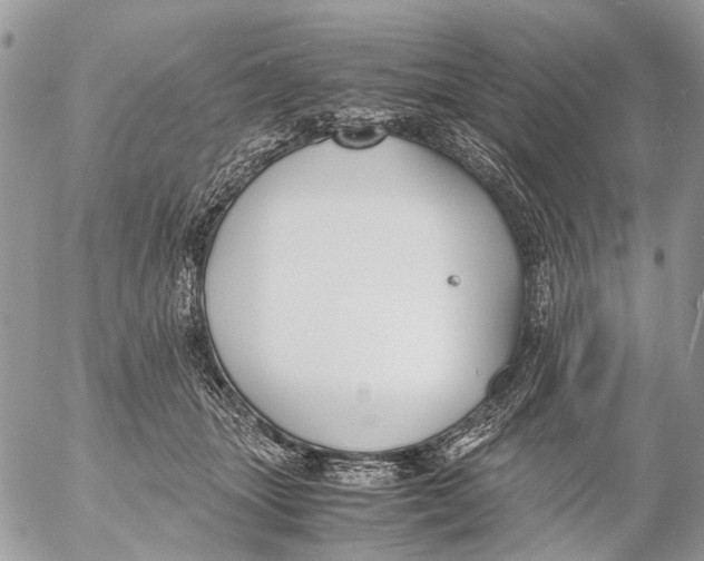 X0000053070463200508081224