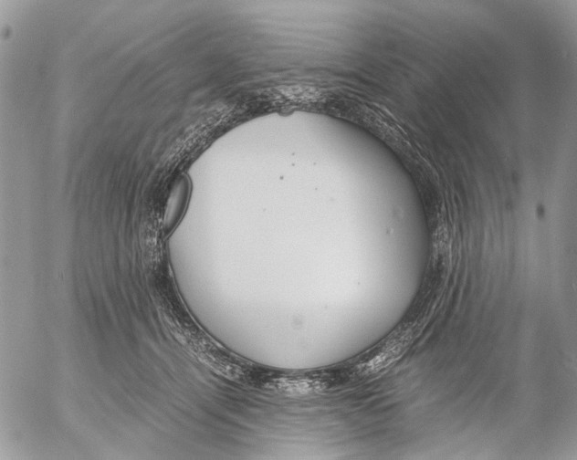 X0000053070464200508081224