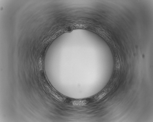 X0000053070465200508081224