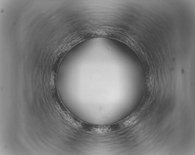 X0000053070466200508081224