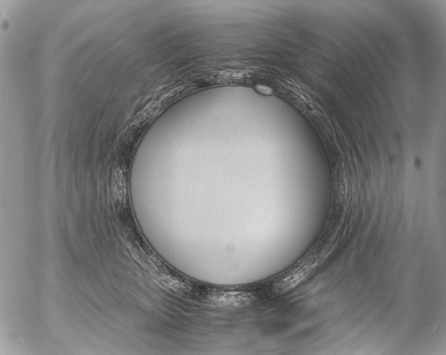 X0000053070467200508081224