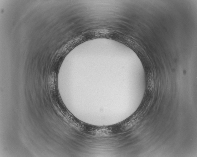 X0000053070468200508081224