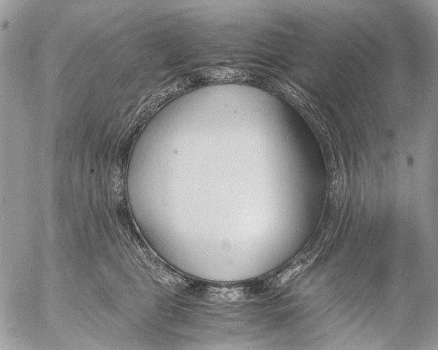 X0000053070469200508081224