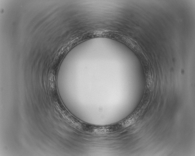 X0000053070470200508081224