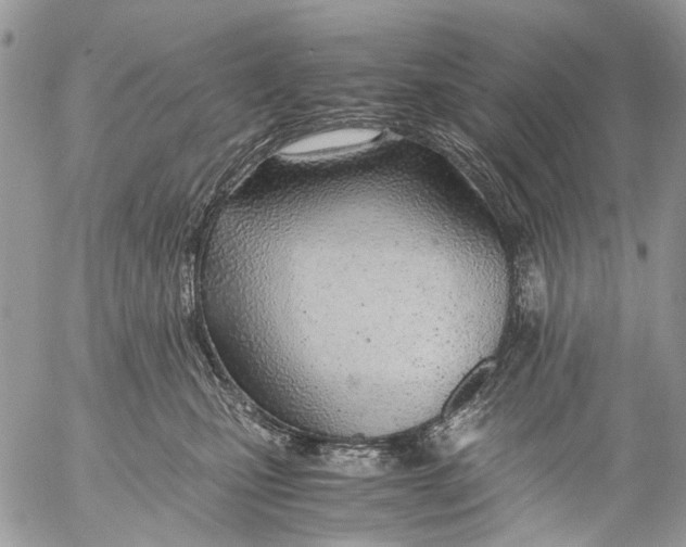 X0000053070471200508081224