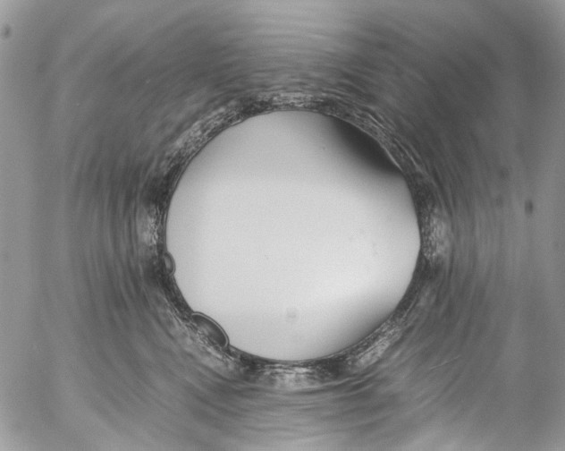 X0000053070472200508081224