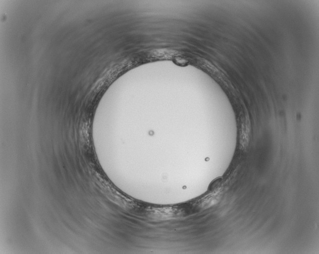 X0000053070473200508081224