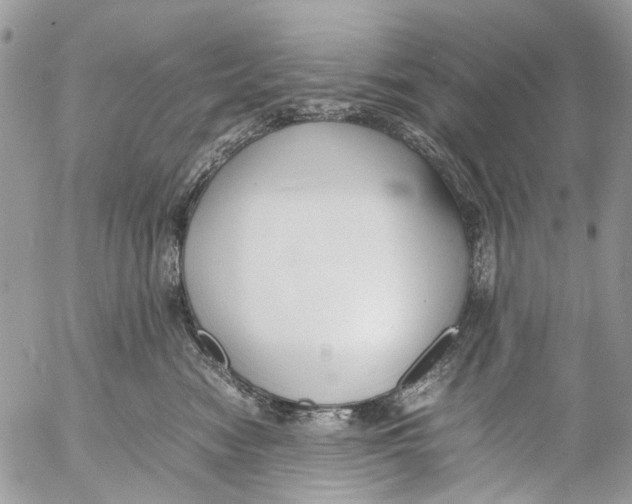 X0000053070474200508081224