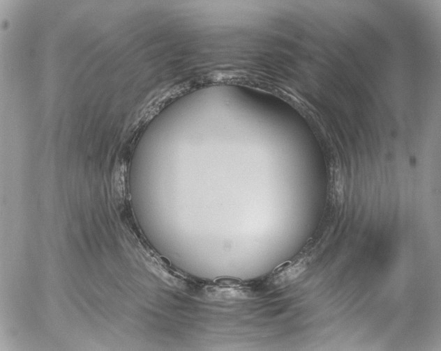 X0000053070475200508081224