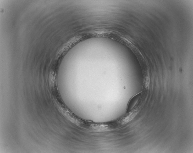 X0000053070476200508081224