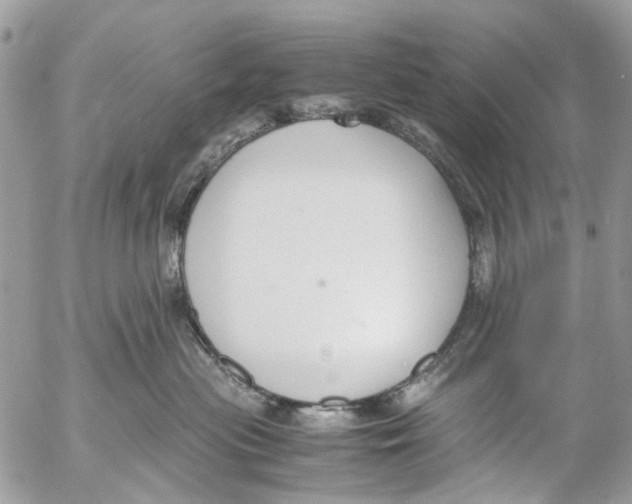 X0000053070477200508081224