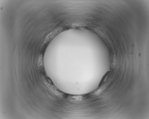 X0000053070478200508081224