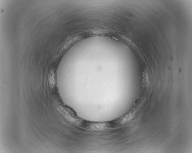 X0000053070479200508081224