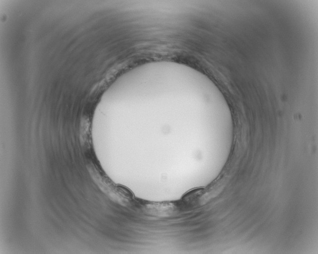 X0000053070480200508081224