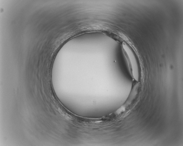 X0000053070481200508081224