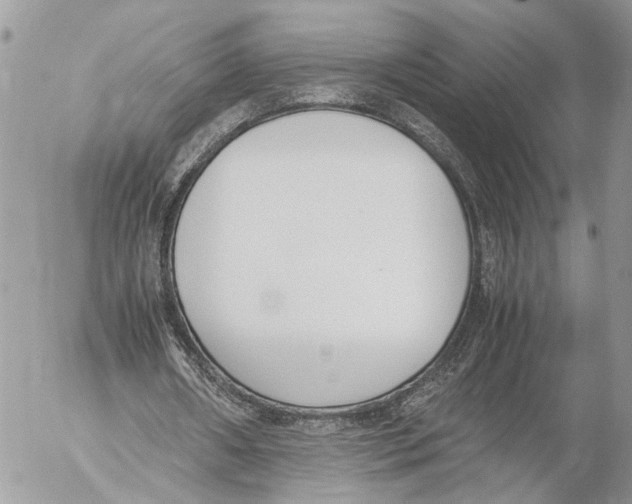 X0000053070482200508081224