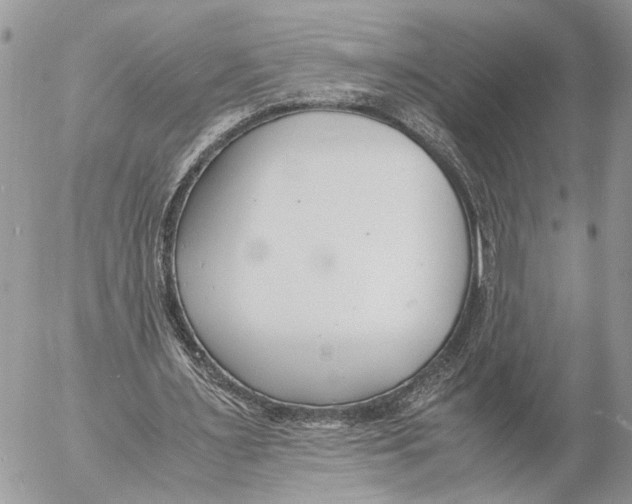 X0000053070483200508081224