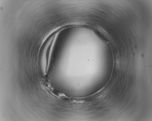 X0000053070484200508081223