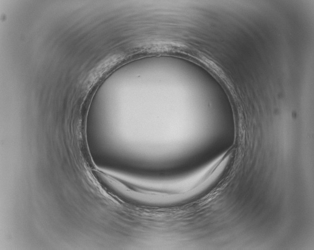 X0000053070485200508081223