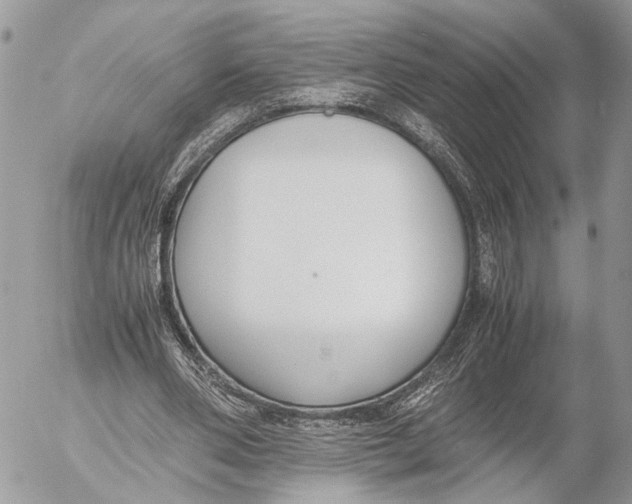 X0000053070486200508081223