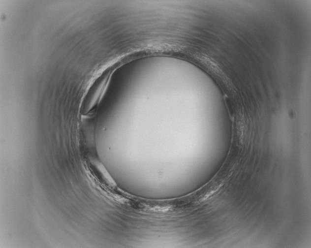 X0000053070488200508081223