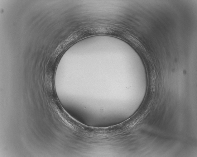 X0000053070489200508081223