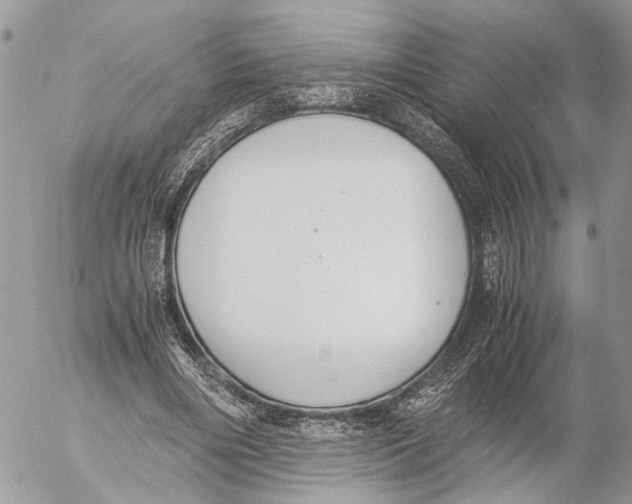 X0000053070490200508081223