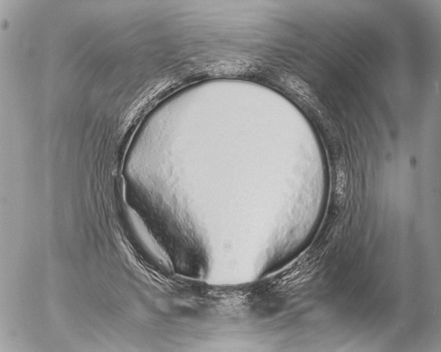 X0000053070491200508081223