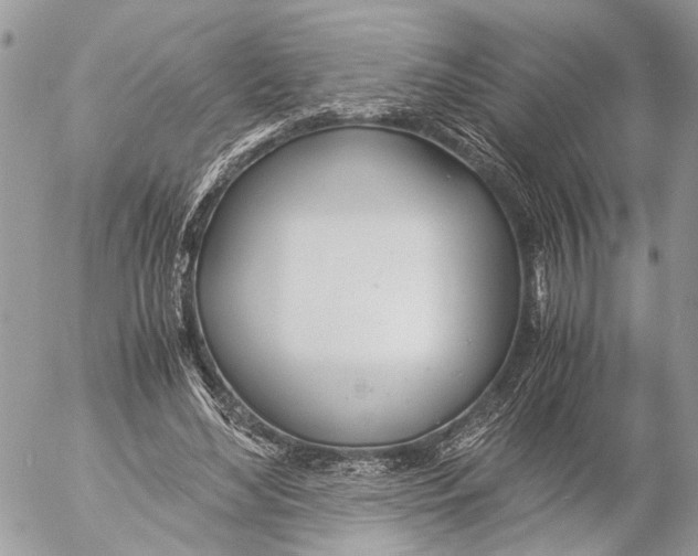 X0000053070492200508081223