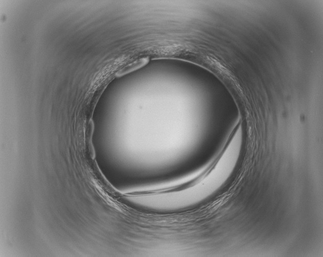 X0000053070493200508081223