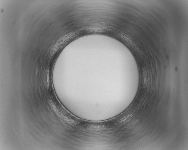 X0000053070494200508081223